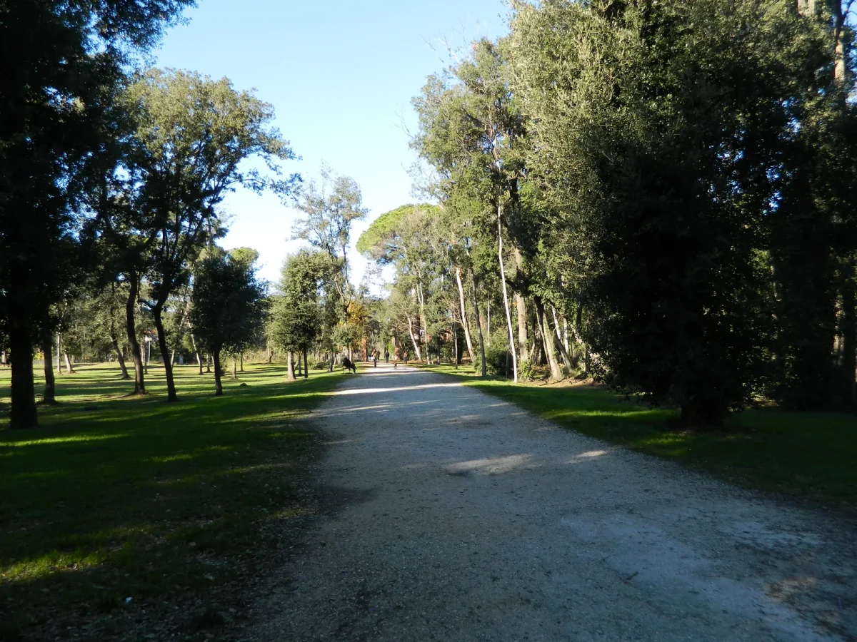 Il bosco della Versiliana a Marina di Pietrasanta, sede della tappa toscana del tour di Arisa
