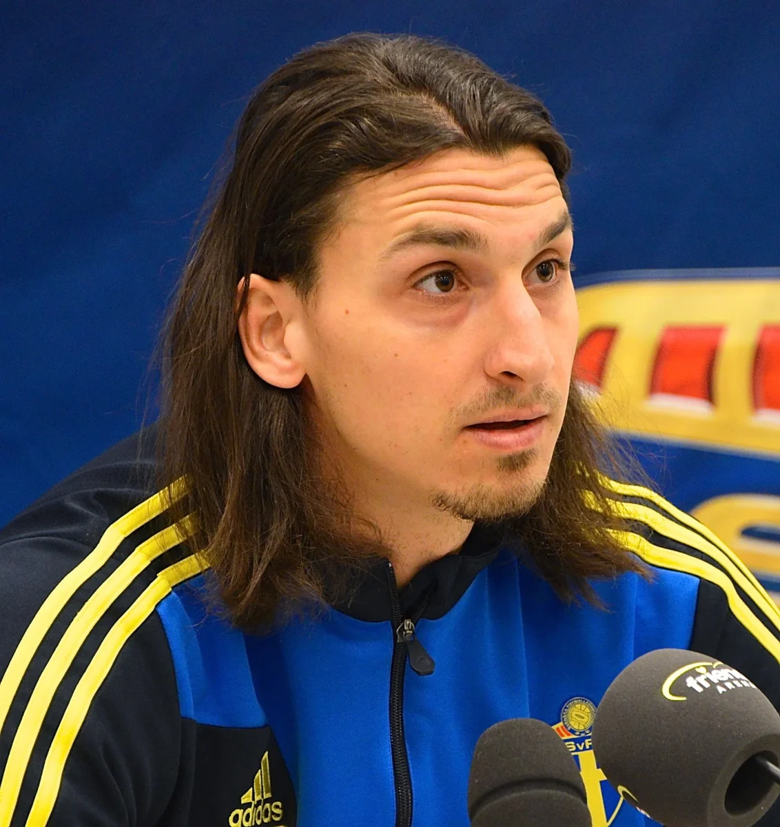 Zlatan Ibrahimović in campo